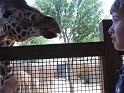 Kids_DZooWThomas-RGPics (9)